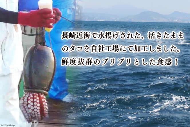 CB044 長崎産 地だこ2尾(約1.4kg)