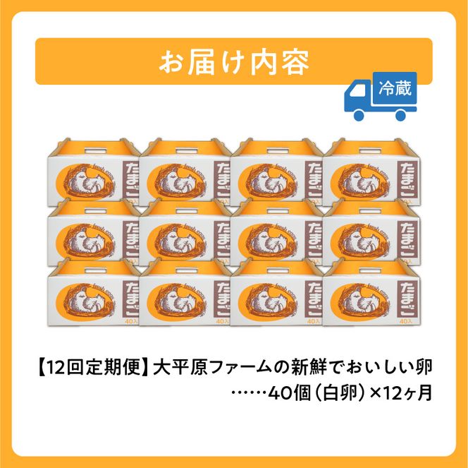 【12回定期便】大平原ファームの新鮮でおいしい卵 計40個(白卵)×12ヶ月_S035-0005