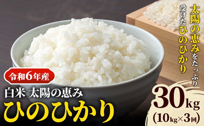 【令和6年産 予約受付】白米 岡山県産 ひのひかり 笠岡産 30kg(10kg×3回)《10月下旬-9月下旬頃出荷》農事組合法人奥山営農組合 太陽の恵み---O-06_30k_白米---