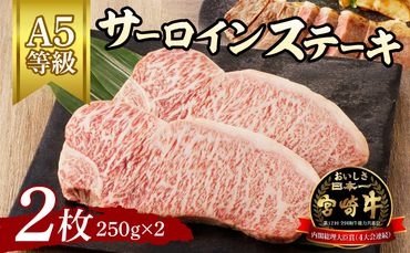 宮崎牛サーロインステーキ2枚（A5等級）　N061-ZC401