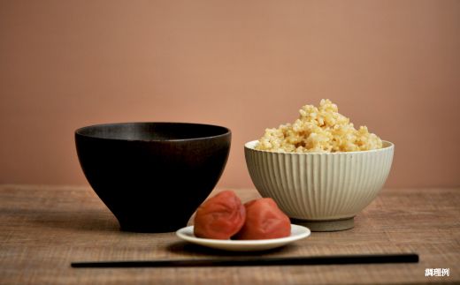 ＜令和7年度産＞「ゆめぴりか」玄米10kg《令和７年10月頃より発送予定》【3900302】