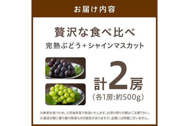 【先行予約／数量限定100】贅沢な食べ比べ 甘～ぃ！ジューシー！京丹後産 シャインマスカット1房＋ピオーネ・藤稔・紫玉・BKシードレス 内1房　計1kg前後2房入り　YK00177