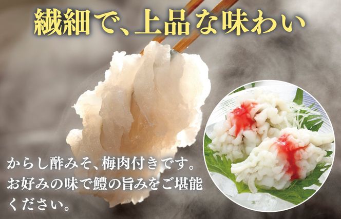 kgp0052 鱧おとし 350g（からし酢みそ、梅肉付）