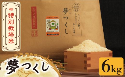 令和5年産新米予約】特別栽培米 夢つくし 6kg 《築上町》【Nouhan農繁