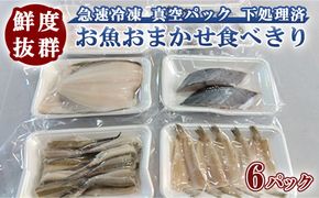 鮮度抜群！お魚おまかせ食べきり６パック・下処理加工してあるので解凍してすぐに調理できます。 ※着日指定不可 ※北海道・沖縄・離島への配送不可◇