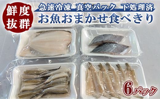 鮮度抜群！お魚おまかせ食べきり６パック・下処理加工してあるので解凍してすぐに調理できます。 ※着日指定不可 ※北海道・沖縄・離島への配送不可◇