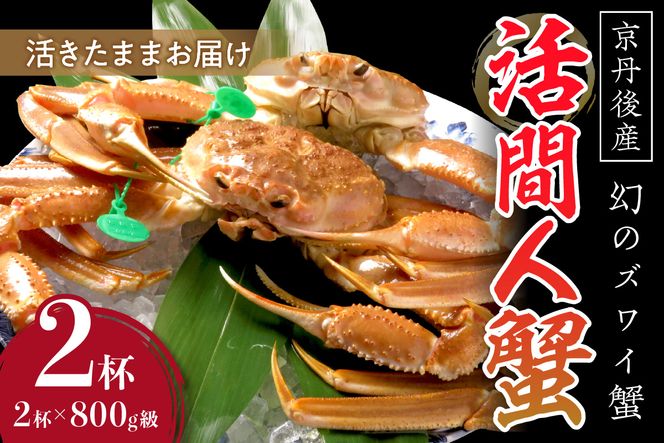 【幻のズワイ蟹】京丹後産 活間人蟹 鮮度抜群、活きたままお届け！！ 800g級×2杯　高級 国産 海産物 甲殻類 かに カニ ずわいがに 間人蟹 茹で ボイル ふるさと納税 海鮮 松葉蟹 松葉がに 松葉ガニ 間人がに 間人ガニ たいざがに YK00082