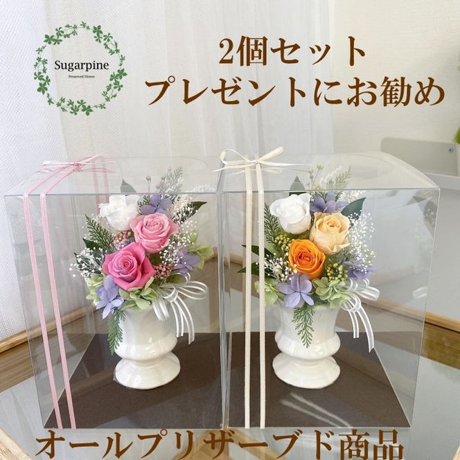 yʌtszAJ022-1 vU[uht[AWyJkD 2Zbg sN/IWzts VK[pC