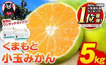  訳あり みかん くまもと小玉みかん 約 5kg (2.5kg×2箱)  蜜柑 小玉旬 不揃い 傷 ご家庭用 SDGs 小玉 たっぷり 熊本県 産 S-3Sサイズ フルーツ 柑橘 長洲町 温州みかん《9月中旬-10月下旬出荷》---fn_nkomikan_k9_24_5500_5kg---