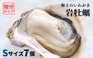 【海士のいわがき】海士町産 いわがき 岩牡蠣 Sサイズ 7個 殻付き 新鮮クリーミーな高級岩牡蠣 冷凍 生食 牡蠣ナイフ 説明書付き 1.19kg～1.645kg