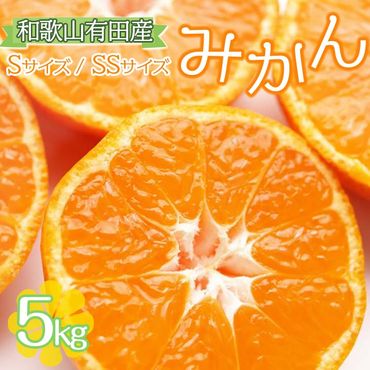 59ページ目）みかん・柑橘類の返礼品一覧 | ふるさと納税サイト