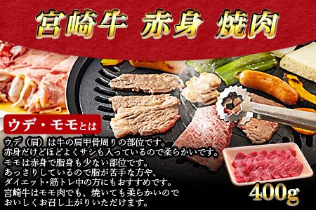 ＜3か月定期便 宮崎牛お試しセット＞翌月末迄に第一回目発送【a0320_em_x3】