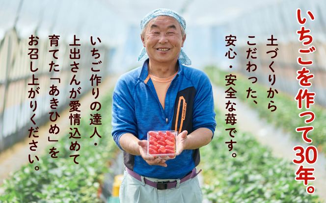 こまつイチゴ（あきひめ）JA小松市 009041