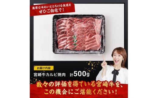 宮崎牛 カルビ焼肉 500g 【 肉 牛肉 国産 宮崎県産 黒毛和牛 カルビ 焼肉 】[D11428]