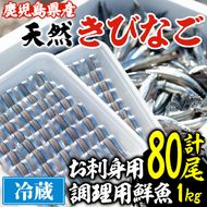 鹿児島県阿久根産！天然きびなごのお刺身と鮮魚セット(1kg・40尾×2パック) 国産 九州産 鹿児島産 鮮魚 魚介 セット【濱崎魚類】a-12-5-z