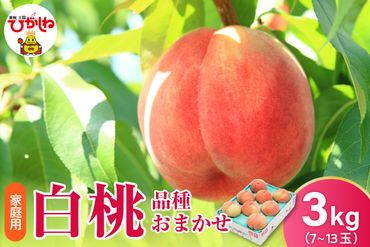 【2024年産ご家庭用】東根市産 白桃【品種おまかせ】3kg (7～13玉入れ)　hi027-105