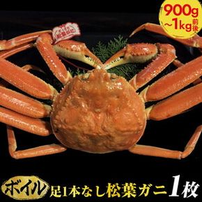 【ボイル】足1本なし松葉ガニ　特大1枚（900g～1kg前後）【着日指定不可】 ※2024年11月上旬～2025年3月下旬に順次発送予定《かに カニ 蟹》