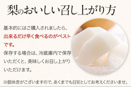 『上田農園』の玉東梨　予約受付中　たっぷり約5kg  6-16玉前後《8月中旬-10月上旬頃出荷》 熊本県 玉名郡 玉東町 梨 ナシ フルーツ 果物 送料無料 ギフト 贈答 5kg---sg_cuedanashi_g810_25_13500_5kg---