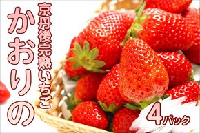 【先行予約／数量限定】京都丹後産 完熟いちご（かおりの） 4パック（2026年3月中旬～発送）　国産 いちご イチゴ 苺 ストロベリー すとろべりー フルーツ ふるーつ 果物 くだもの 農家応援 生産者応援 AM00668