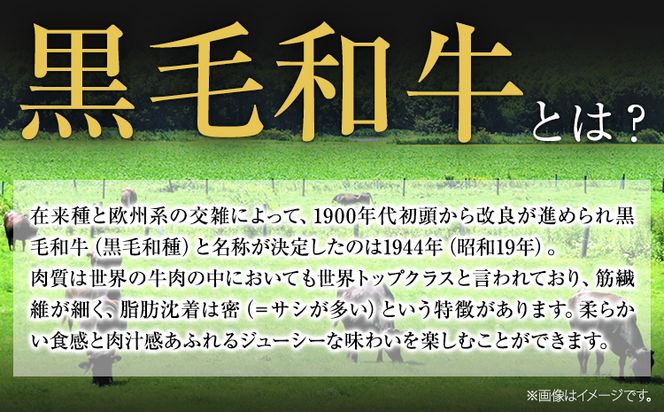 くまもと黒毛和牛 サーロインステーキ 選べる 250～1000g 牛肉 冷凍 《30日以内に出荷予定(土日祝除く)》 くまもと黒毛和牛 黒毛和牛 冷凍庫 個別 取分け 小分け 個包装 ステーキ肉 にも サーロインステーキ---oz_fsaro_30d_24_10000_250g---