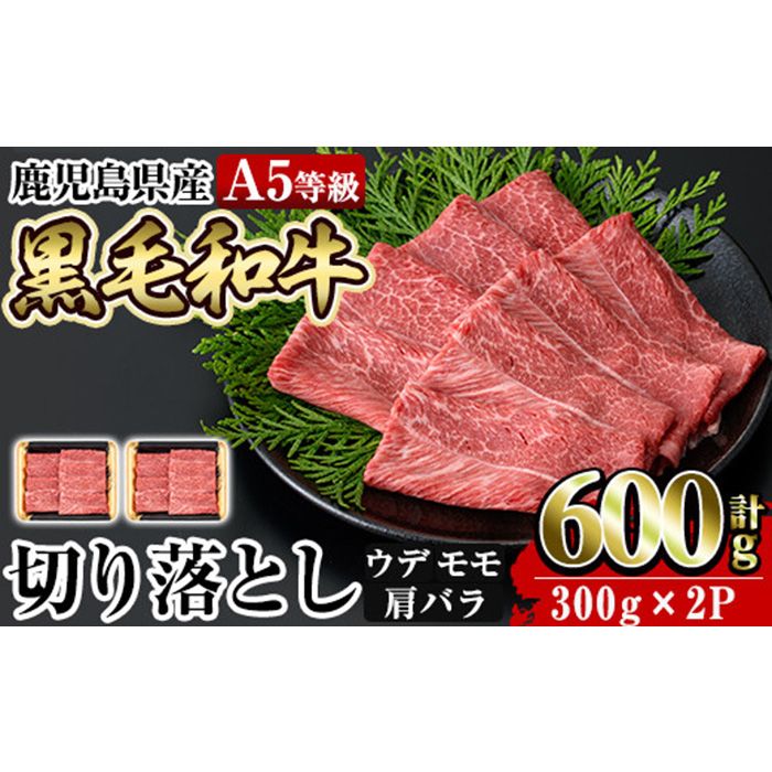 a855 ≪A5等級≫鹿児島県産黒毛和牛切り落とし計600g(300g×2P)[水迫畜産]姶良市 国産 牛肉 切り落とし