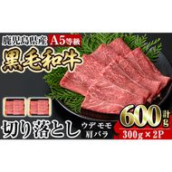 a855 ≪A5等級≫鹿児島県産黒毛和牛切り落とし計600g(300g×2P)【水迫畜産】姶良市 国産 牛肉 切り落とし