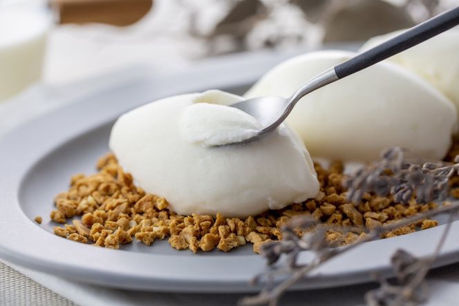 【毎月定期便】【THE ICE】エキストラミルク8個×2ヵ月定期便【be003-1066-100-2】