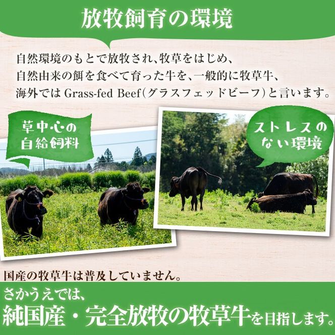 国産黒毛和牛 牧草育ちの里山牛 サーロインブロック 500g b1-015