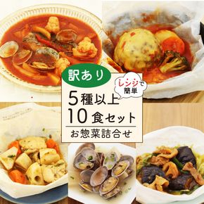 訳あり お惣菜 セット レンジで簡単 5種以上 10食セット  レトルト 詰合せ 簡単 カンタンおかず 料理 静岡 国産 冷凍 お弁当 おかず レンジ 調理 ハンバーグ 洋食 和食 洋風 和風  肉 魚 野菜 煮物 おつまみ [ PT0074-000005 ]