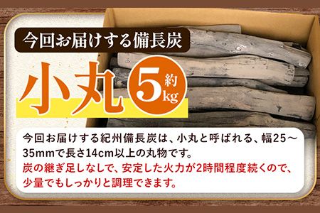 紀州備長炭 小丸 約5kg 望商店 《30日以内に出荷予定(土日祝除く)》 和歌山県 日高川町 備長炭 紀州備長炭 炭 約5kg 高級白炭---wshg_nzm8_30d_23_28000_5kg---