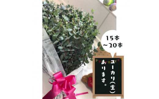 yF{bz[Jijt[AW - u[P  AWg Y F{Y ؂ 15`20{ CeA 悯p lC  F{ b