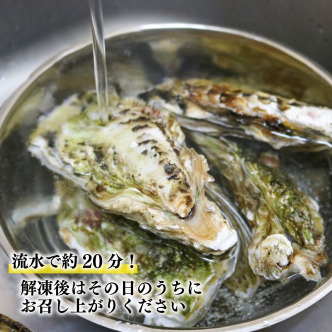 牡蠣 8個 殻付き 冷凍 生食用 かき 牡蠣 カキ  オイスター oyster アヒージョ バーベキュー BBQ フライ 揚げ物 ごはん 夕飯 おかず おつまみ 晩酌 米 丼 海産物 海鮮 魚介 魚介類 贈答品 お中元 大船渡 三陸 岩手県 国産 [taiko002]