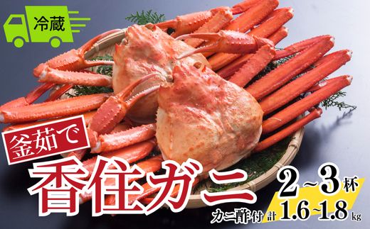 [釜茹で香住ガニ 2〜3杯(1.6〜1.8kg分)冷蔵]入金確認後、水揚げがあり次第順次発送 配送日指定不可 カニ かに 蟹 ふるさと納税 おすすめ 兵庫県 香美町 香住 今西食品 49-02