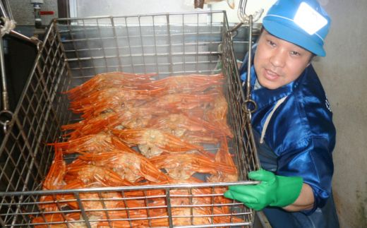 【釜茹で香住ガニ 2～3杯（1.6～1.8kg分）冷凍】香住がに 紅ずわいがに 紅ズワイガニ カニ かに 蟹 ボイル 32000円 兵庫県 香美町 香住 今西食品 49-03