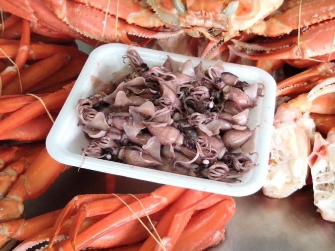 【カニホタル 170g×3パック 冷凍】 配送日時指定可 国産 香住 ほたるいか ホタルイカ いか イカ 香住ガニ ボイル おすすめ 兵庫県 香美町 今西食品 49-05