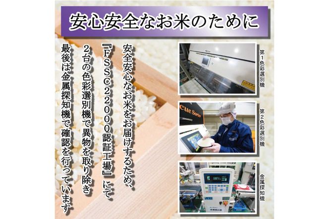 【期間限定発送】 米 令和7年 石川県産 石川米こしひかり【穂立】5kg [中橋商事 饗のこめ (あえのこめ) 石川県 宝達志水町 38601197] コシヒカリ お米 コメ 白米 精米 おこめ こめ 5キロ ごはん ご飯 国産
