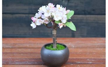 ミニ桜盆栽（造花）GF-006