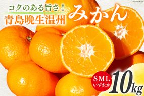 みかん 10kg【期間限定発送】コクのある甘さ うまぁ〜い！！青島晩生温州みかん S・M・Lいずれか [黒田農園 宮崎県 日向市 452060247] 果物 フルーツ ミカン 蜜柑 柑橘 贈答用