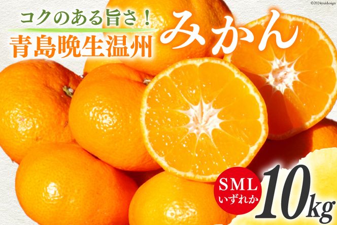 みかん 10kg【期間限定発送】コクのある甘さ うまぁ〜い！！青島晩生温州みかん S・M・Lいずれか [黒田農園 宮崎県 日向市 452060247] 果物 フルーツ ミカン 蜜柑 柑橘 贈答用