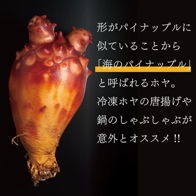 三陸産 お刺身用 ほや 500g (100g×5) ホヤ 冷凍 [56500516]