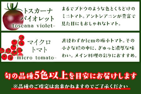 「ミヤザキファーム」 宝石とまと 熊本県氷川町産《12月上旬-6月末頃出荷予定》 小鈴 アイコ イエローアイコ オレンジ千果 みどりちゃん セレブスイート グリーンゼブラ 桃太郎ゴールド トスカーナバイオレット マイクロトマト ---sh_cmiyatmt_ac126_r7_13000_1200g---