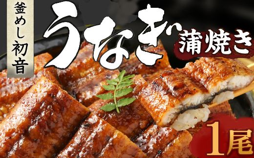 70年つぎ足しの秘伝のたれ!初音の高知県産うなぎ蒲焼き1尾 国産 ウナギ 鰻 うなぎ 蒲焼き 秘伝のタレ 土用の丑の日 配送可 うなぎ丼 うな重 うなぎ茶漬け うなぎ寿司