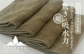 099H2283 【驚きの吸水力】ミズスウタオル バスタオル 2枚 ブラウン【スピード発送 泉州タオル 国産 吸水 普段使い シンプル 日用品 家族 ファミリー】