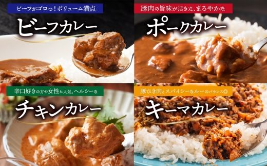 《無地熨斗 対応可》極旨カレー4種食べ比べセット（ビーフ・ポーク・チキン・キーマ）＆スパイスカレールー各1箱  177-8-12