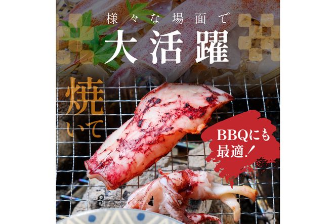 BBQに最適！　白イカ（ケンサキイカ）　調理済み　正味1K入り（4～8匹）　※小分け真空包装　UO01058