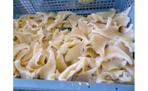 コラーゲン3900mg ふかひれラーメンと姿煮のセットＡ [中華高橋水産 宮城県 気仙沼市 20563465] 鱶鰭 ふかひれ フカヒレ 姿煮 ラーメン ふかひれラーメン コラーゲン 中華 高級 豪華 詰め合わせ