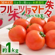 フルーツトマト 朱朱 Mサイズ (計1kg・16-18玉) M 高糖度 糖度 フルーツトマト トマト 野菜 サラダ 大分県 佐伯市 九州産 国産 大分県 佐伯市【CH63】【(株)サニープレイス】