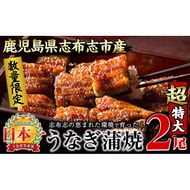 【数量限定】うなぎの大楠＜超特大＞2尾セット計380g以上(190g×2) a7-002