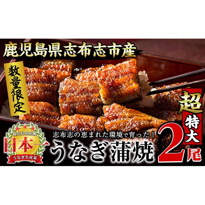 yuzuszyʌzȂ̑큃偄2Zbgv380gȏ(190g×2) a7-002