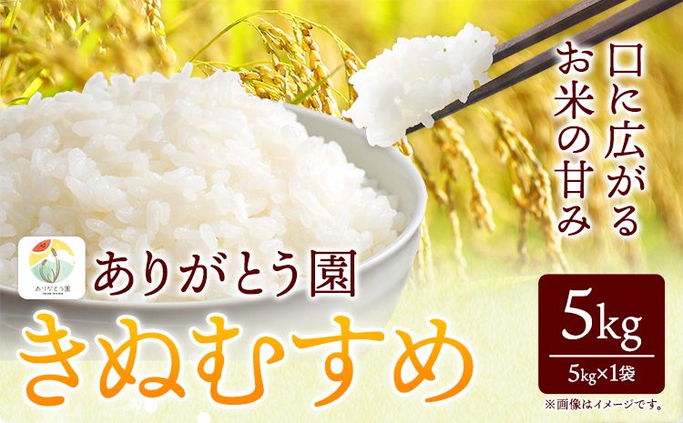 令和6年産 米 岡山県産 きぬむすめ 白米 5kg ありがとう園[30日以内に出荷予定(土日祝除く)]岡山県 矢掛町 米 コメ 一等米---osy_agekmh_30d_23_11500_5kg---